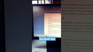 Ms word documents views