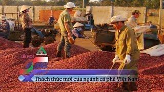 Ngành cà phê Việt Nam đứng trước thách thức mới | Lễ hội cà phê Việt