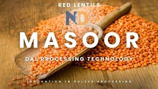 Red Lentils Processing Plant | Masoor dal processing technology