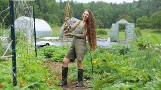 Harvesting 700 Bulbs of Garlic: My Biggest Crop Yet! 