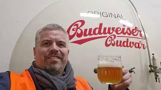 Erleben Sie die Budweiser Budvar Brauerei in Südböhmen!