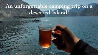 A Starlight Serenade at Sea: Dolphin spotting on a Dhow Cruise | An unforgettable camping adventure!