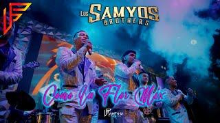 Como La Flor Mix -  Los Samyos Brother - Video Oficial - 2023