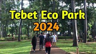 TEBET ECO PARK 2024 || Taman Terbaik di Jakarta, tempat healing gratis di Jakarta #tebetecopark