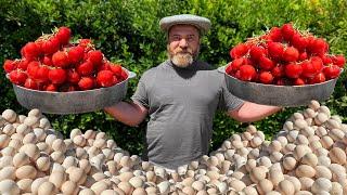 Scrambled eggs with Tomatoes in Azerbaijani! Delicious Summer Dish