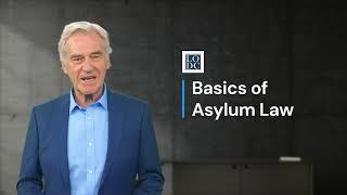 Basics of Asylum Law | Law Offices of David S  Chesley