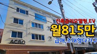 [대구원룸매매] 수익률10% 월세815만 올리모델링 엘리베이터증축 대형다가구