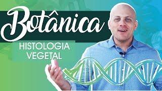 Botânica | HISTOLOGIA VEGETAL | AULA SOBRE OS PRINCIPAIS TECIDOS VEGETAIS E SUAS RESPECTIVAS FUNÇÕES