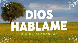 Alabanzas que quebrantan el Corazon - Himnos Cristianos - Musica Cristiana Mix 2024