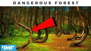 TOP 10 Most DANGEROUS FOREST In WORLD 2020