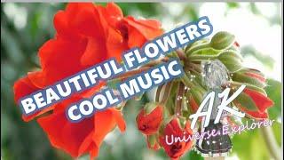 BEAUTIFUL FLOWERS | COOL MUSIC | 1 HOUR COOL MUSIC