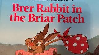 Bret Rabbit in the Briar Patch