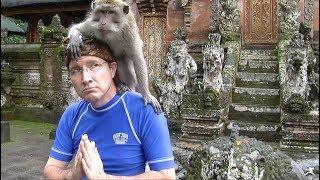 Bali: Sacred Monkey Forest