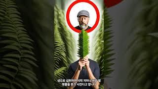 생으로 먹으면 독이 되는 것들