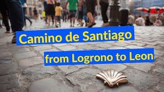 Camino de Santiago documentary vlog from Logrono to Leon - July 2021 - Long Version