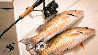 Top FOUR Mangrove Snapper Fishing Rigs + CATCHING Technique!