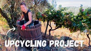 Upcycling project, cover crops and wild fires - Daily life on my off-grid farm in Portugal