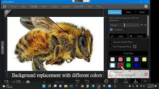 Background replacement for stacked images by PhotoScape X