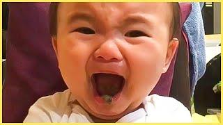 10 Minutes Of Funny Baby Reaction To Everything