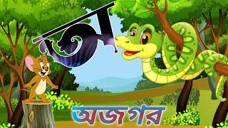 অআইঈ বাংলা স্বরবর্ণ! বাচ্ছাদের শিক্ষা! অ অজগর আসছে তেড়ে! আ আমটি আমি খাব পেড়ে......