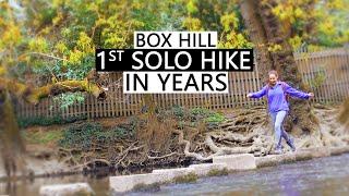 Box Hill - A Countryside Walk in the Surrey Hills (National Trust)