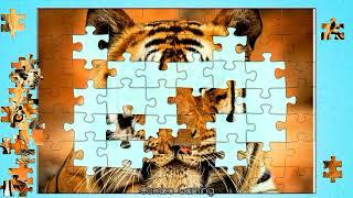 puzzle #235 gameplay || tiger puzzle games || puzzle.com || @combogaming335