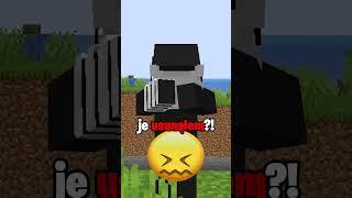 MINECRAFT ale WSZYSTKO CO NARYSUJE️ przestaje ISTNIEĆ