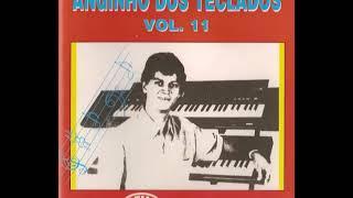 anjinho dos teclados volume 11 completo