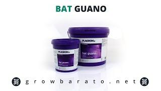 Bat Guano de Plagron | Growbarato - GB The Green Brand