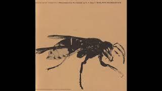 Sounds of Insects (Field Recordings)