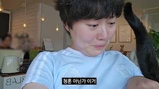 여자 혼자 묵호 여행을 가야 하는 이유 브이로그