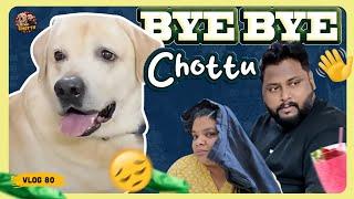 End'ல சும்மா கதற கதற  Chottu கொடுத்த Twist | Chottu: Good Boy or Bad Boy | Volg 80