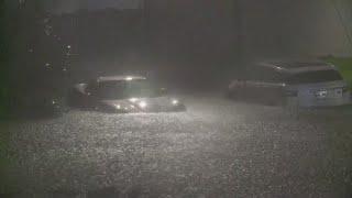 Watch: Cars flooded as Hurricane Francine pelts New Orleans