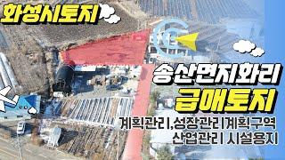 (거래종료)화성토지매매/송산면 지화리 계획관리 급매토지