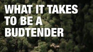 What does it take to be a 'budtender'?