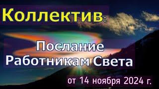 Коллектив: Послание работникам света – от 14 ноября 2024 г.