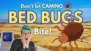 Is Camino de Santiago INFESTED with bedbugs?