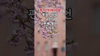 꼭 기억해야 할 부모  자식 사이의 관계 명언 8가지