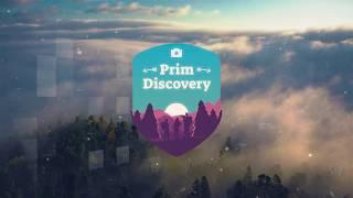 PrimDiscovery