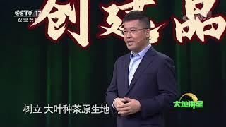 《大地讲堂》 20200823 走出去的中国茶|CCTV农业