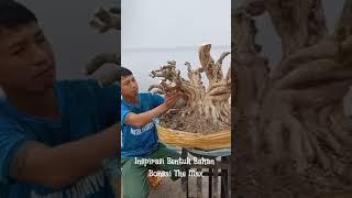 07. Inspirasi Bentuk Bahan Bonsai - Bonsai The Max - Bahan Bonggol Dari Dongkelan