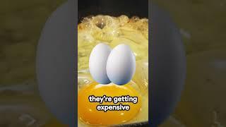 Save Your Eggs!