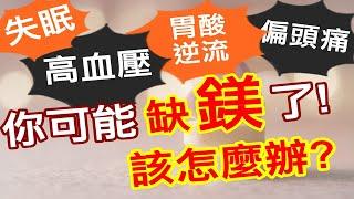 你知道未來10年最重要的營養素是甚麼嗎? 答案是鎂 -- 《鎂的奇蹟（暢銷15年增訂．新增30％最新研究）》