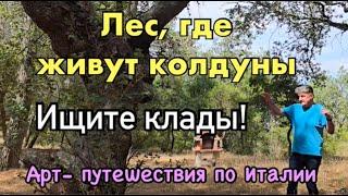 Лес, где живут колдуны. Ищите клады!