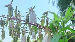 [스며드는 책읽는 소리] 보이지 않는 것들 (봄香의 에세이)