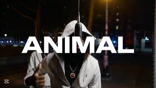 [FREE] Sdot Go x Jay Hound x Jay5ive Jersey Drill Type Beat - "Animal" | Dark Jersey Type Beat