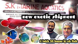 fish aquarium wholesale market || s k marine Aquatics latest shipment exotic fish variety. Karachi