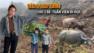 QUYỀN YỂN TV CHỈ THẲNG TAY BÁN GẤP 2 CON TRÂU VÌ BÁC CHO”2 BÉ TUẤN VIỆN BỊ BỎ RƠI”NGHỈ HỌC