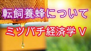 Beekeeping Economics V / Thinking about migratory beekeeping / Ryoichi Yamazaki / English subtitles