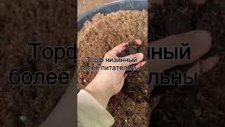 Торф для голубики